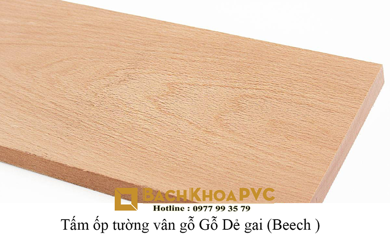 5 loại Tấm ốp tường vân gỗ quý không thu gỗ thật mà còn bền hơn 5