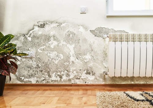 Chỉ cách chống ẩm mốc tường nhà bằng tấm PVC vân đá Marble 1
