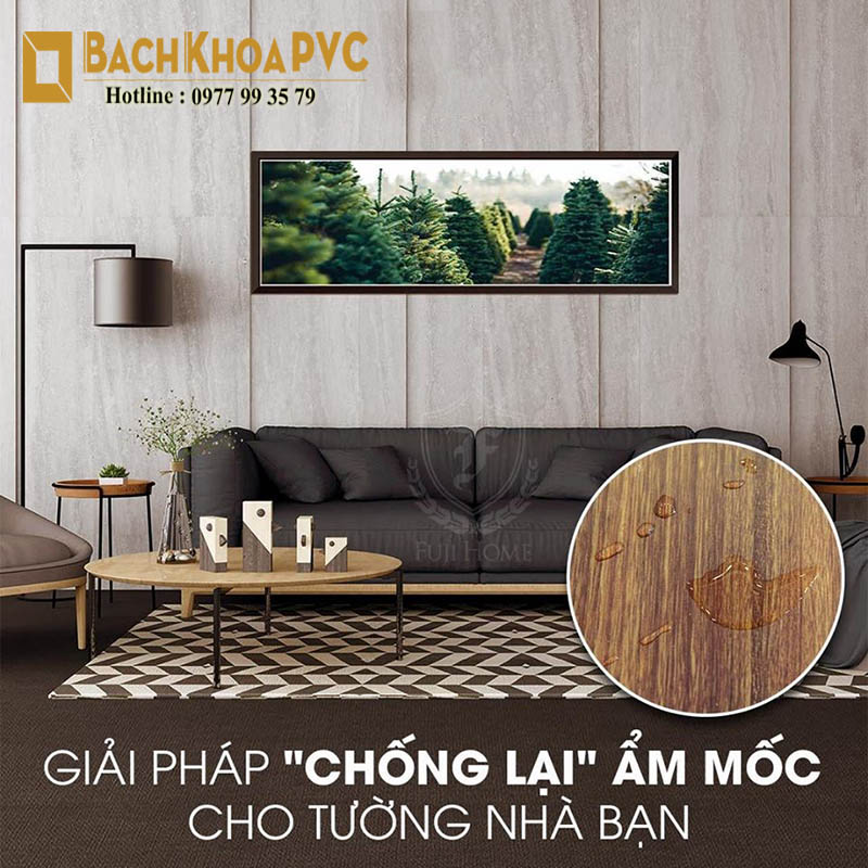 Có nên dùng tấm nhựa ốp tường sửa nhà đón Tết thay vì sơn lại tường không 2