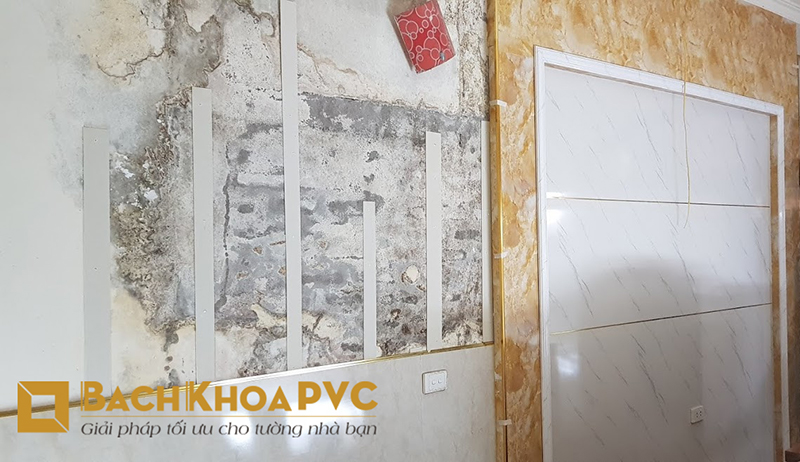 Tấm nhựa PVC – Giải pháp xử lý tường nhà thấm nước, ẩm mốc hiệu quả nhất