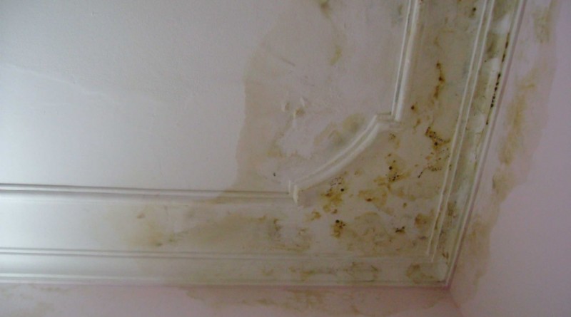 Tấm nhựa ốp tường PVC – “Dũng sĩ” bảo vệ tường nhà khỏi vết bẩn, bong tróc 2